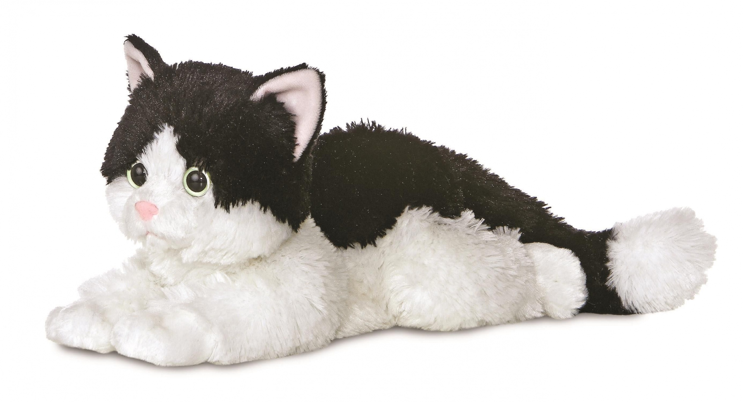 cuddly cat toy