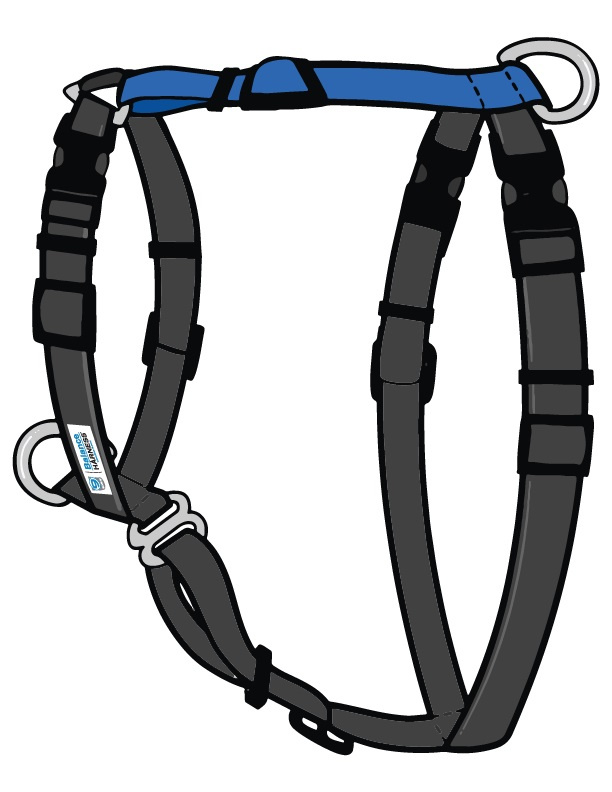 blue 9 harness