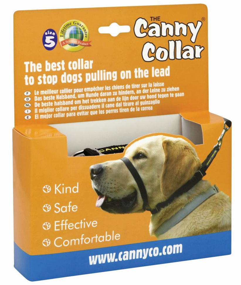 canny dog collar
