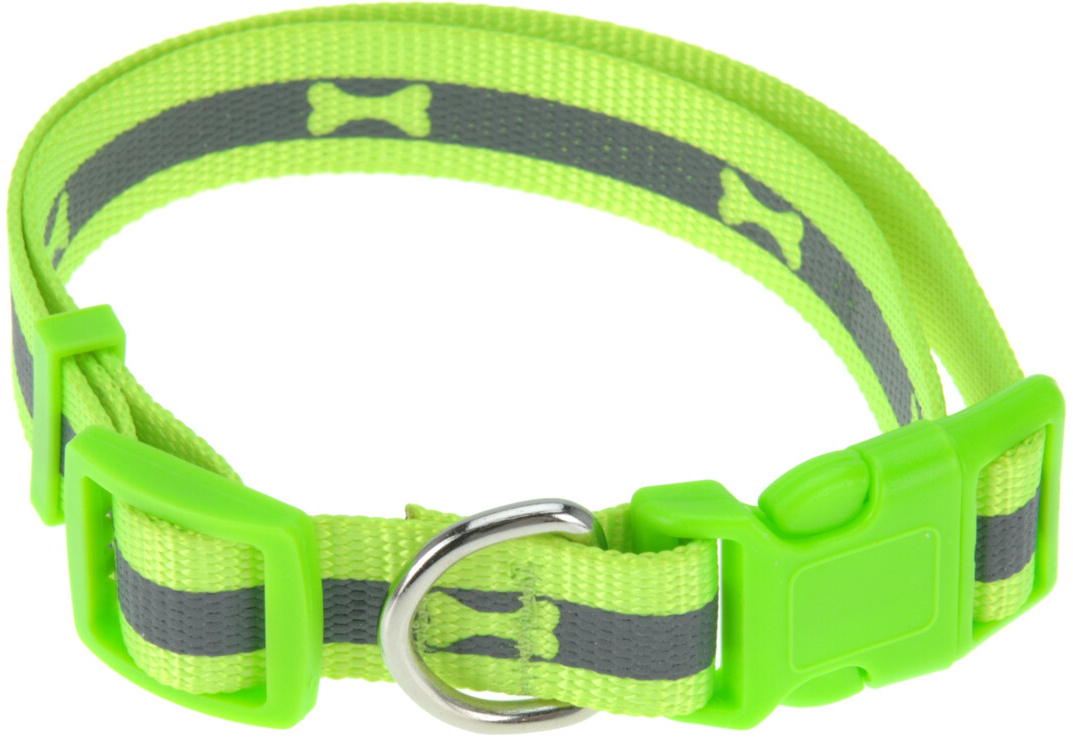 neon dog collar