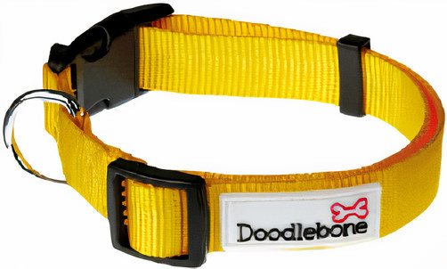 doodlebone bold dog harness