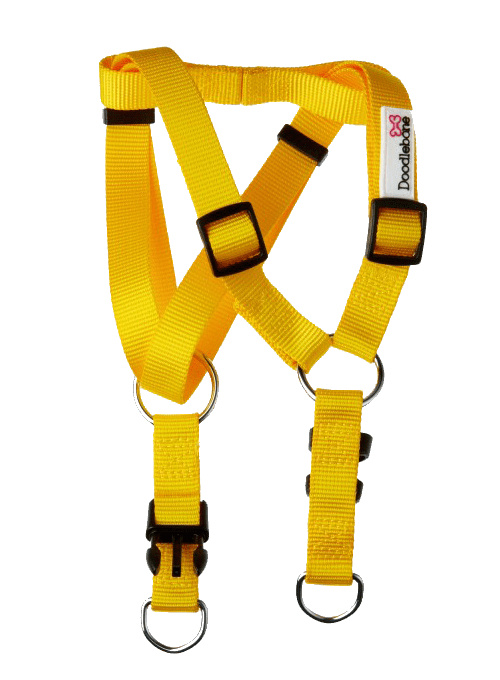 doodlebone bold dog harness