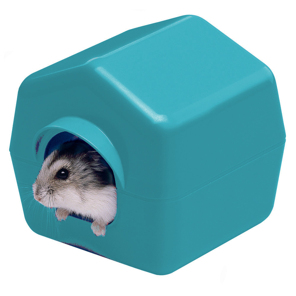 x blue hamster