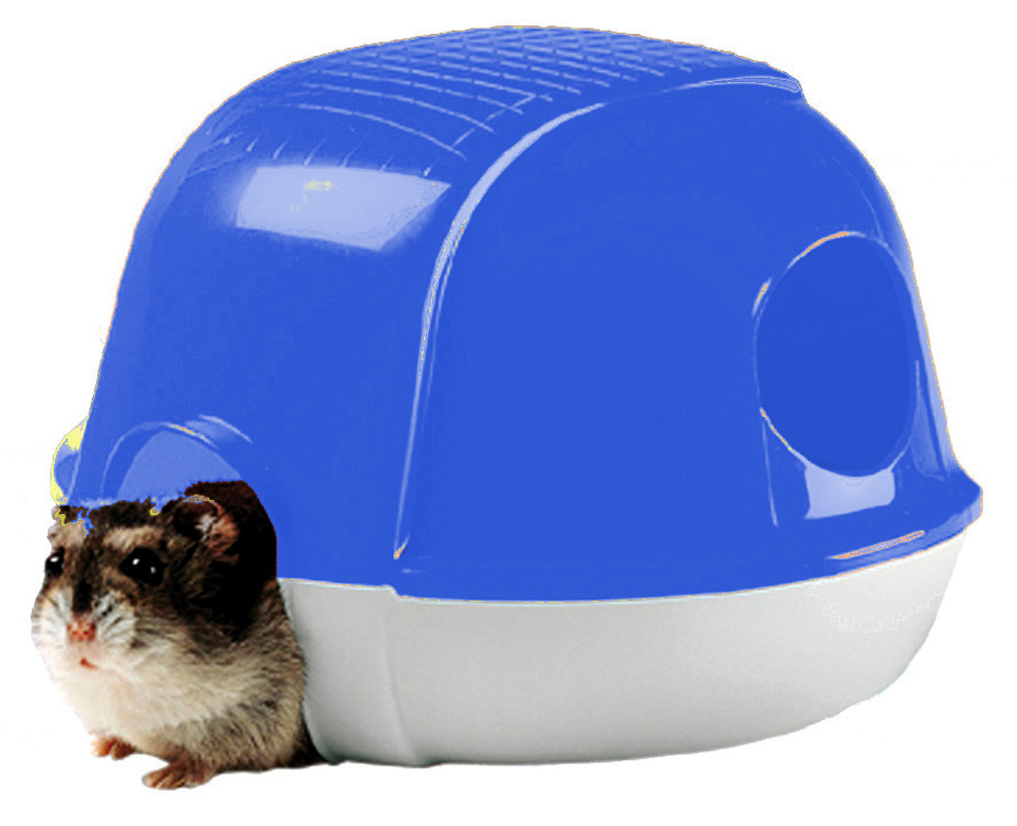 x blue hamster