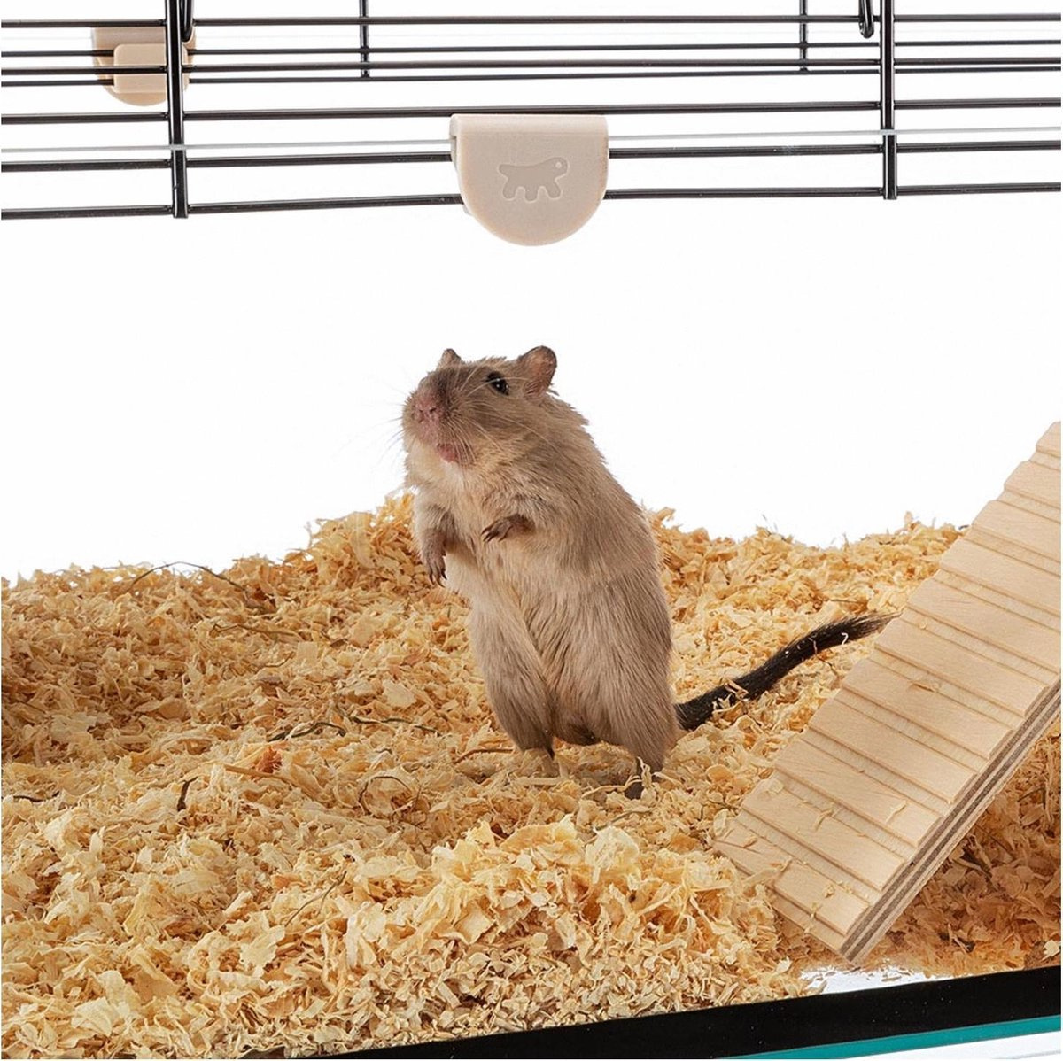 hamster wall cage