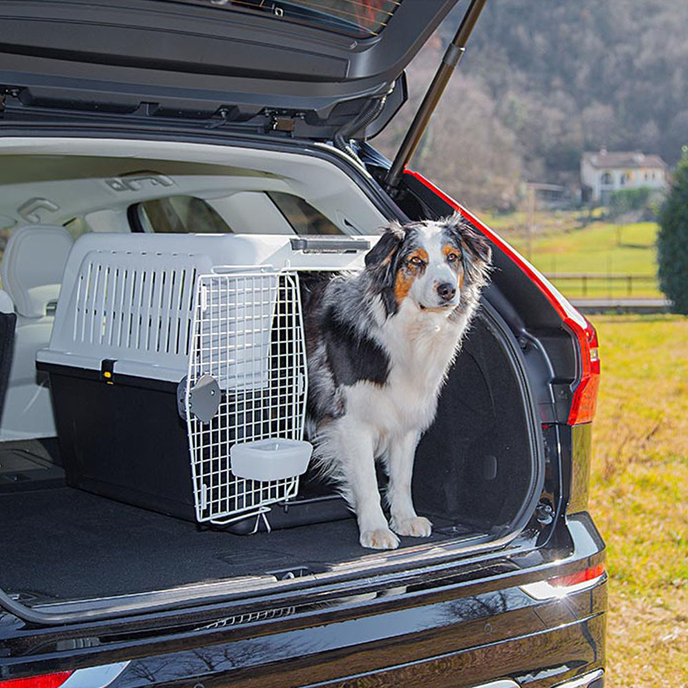 dog transport box