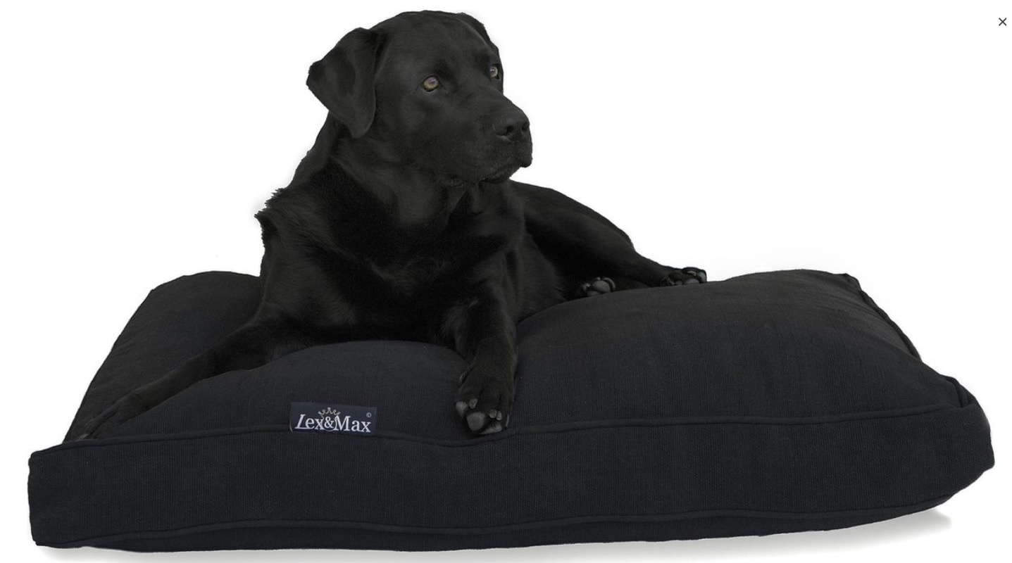 lex & max dog bed