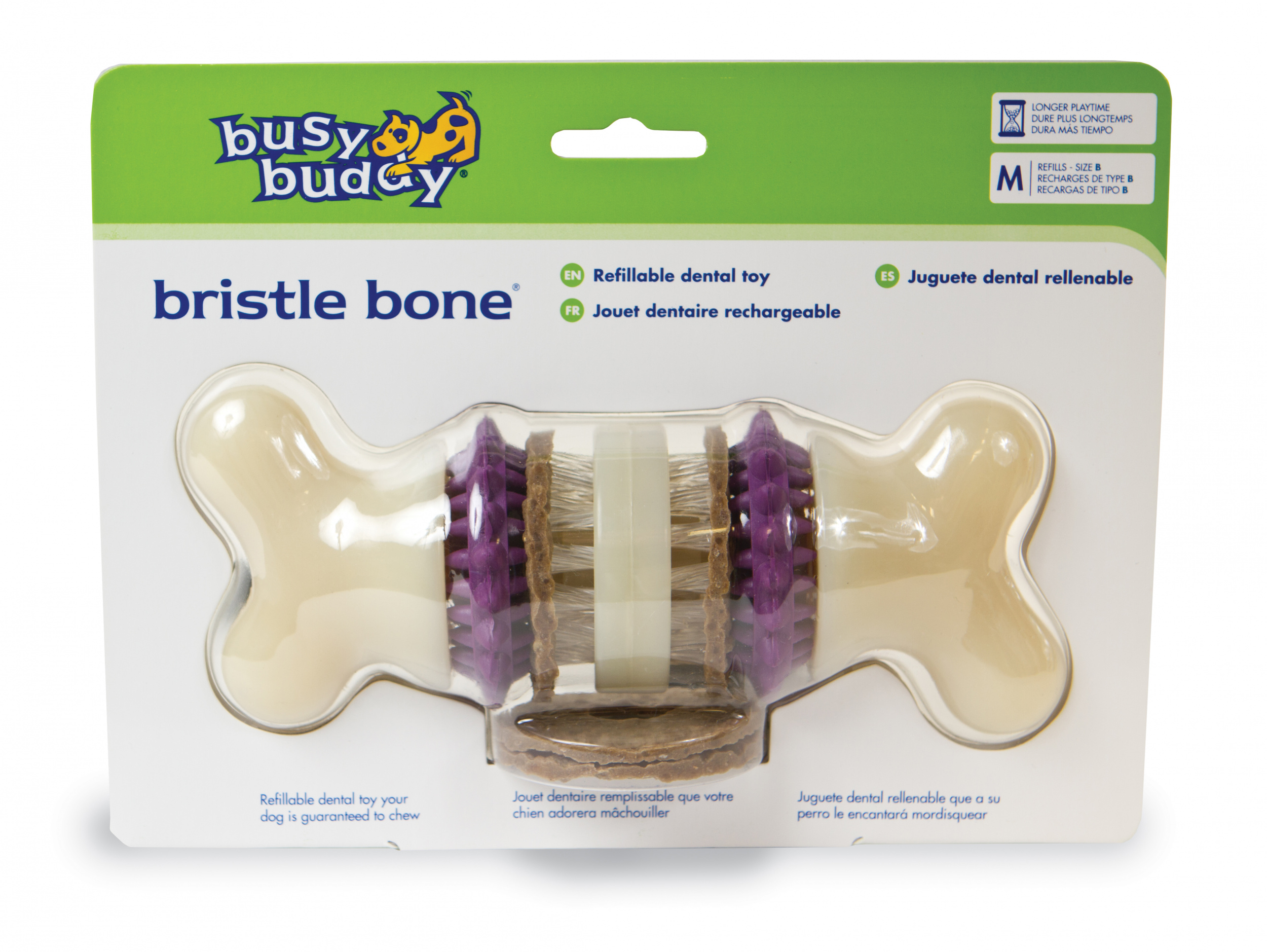 bristle bone