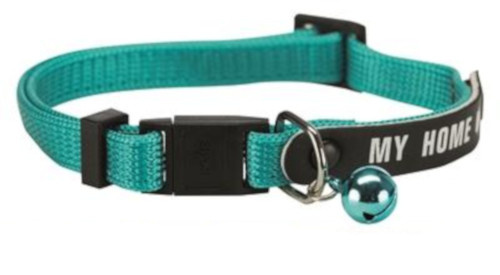 turquoise cat collar