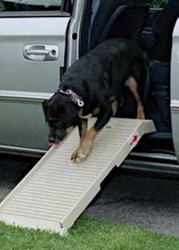 dog walking board HalfStep 100 cm rubber beige