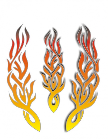 TOM fietsstickers flames oranje