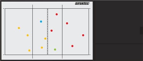 luxury coach volleyball plate
