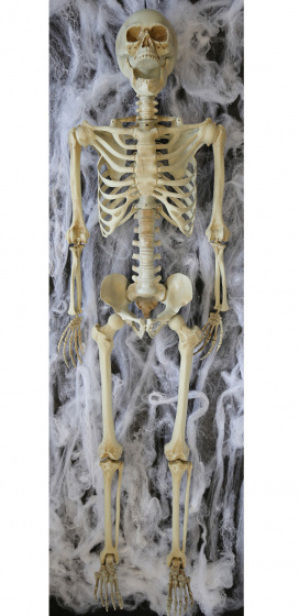 Amscan ozdobná kostra v životnej veľkosti 165 cm béžová