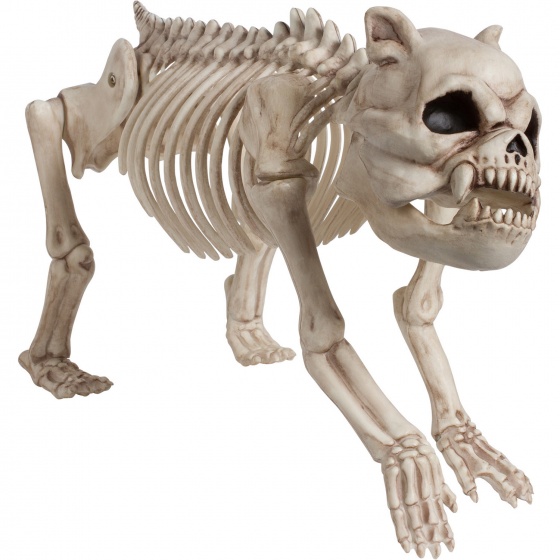 Amscan kostra psíka biela 55 cm