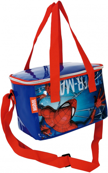 cooler bag 5,5 liter 22,5 x 15 x 16,5 cm PVC blue
