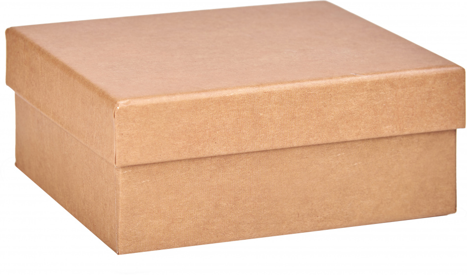 Arte Regal úložný box 12,5 x 8,5 x 5 cm kartón prírodný