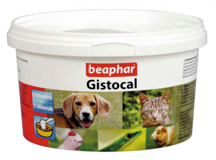 dietary supplement Gistocal 250 grams white