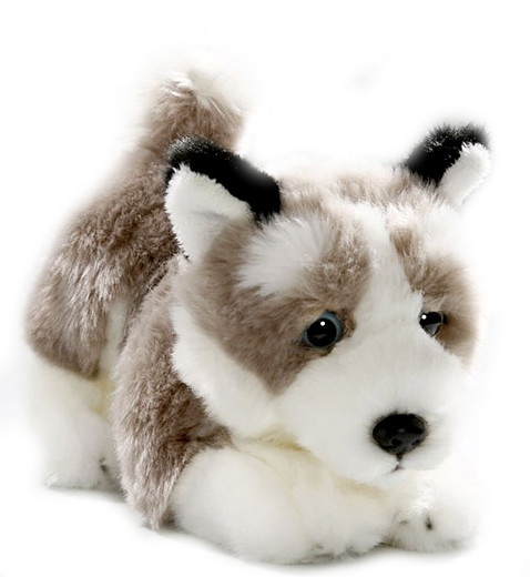 Cuddle Dog Husky 23 cm