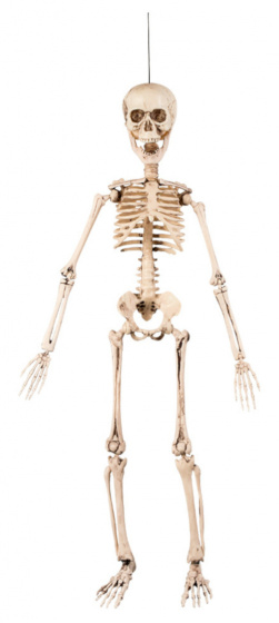 Boland dekorácia Pohyblivá kostra 50 cm polyetylén béžová