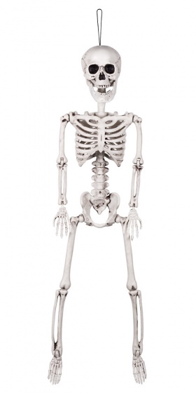 Boland dekorácia pohyblivá kostra 60 cm