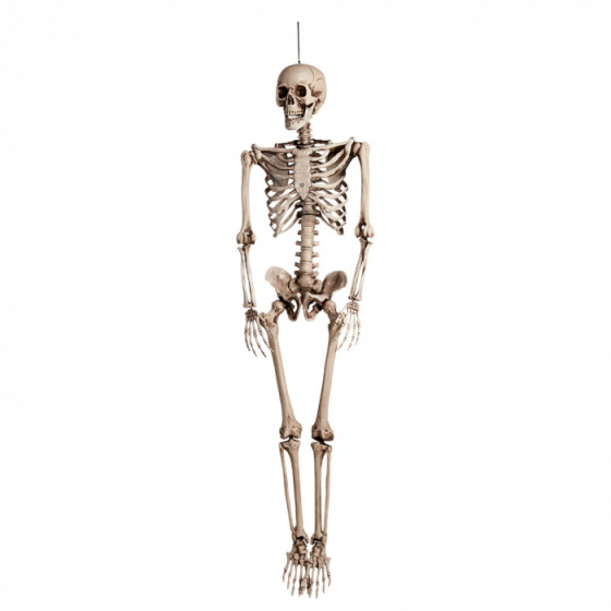 Boland dekorácia kostra 160 cm polyetylén béžová