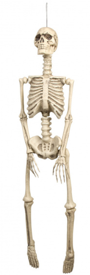 Boland dekorácia Kostra 92 x 24 cm polyetylén béž