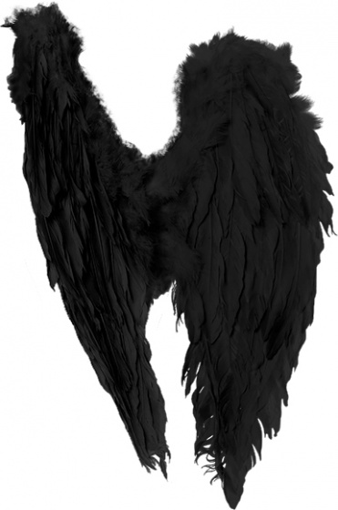 Boland anjelské krídla skladané dámske 50 cm pierka čierne