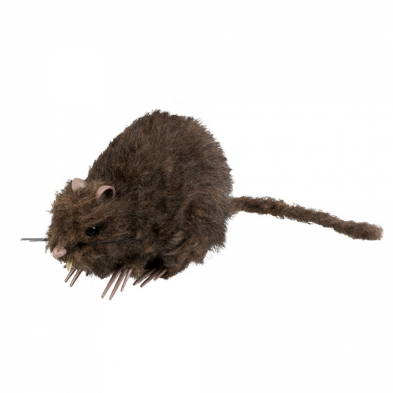 rat 15 x 8 cm polystyrene brown