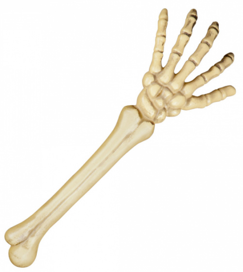 Boland kostra rameno 46 cm polyetylén krém