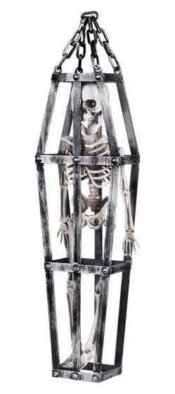 Boland Kostra v klietke 50 cm