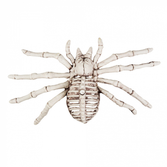 Boland kostra pavúka 12 x 24 cm polyetylén biela