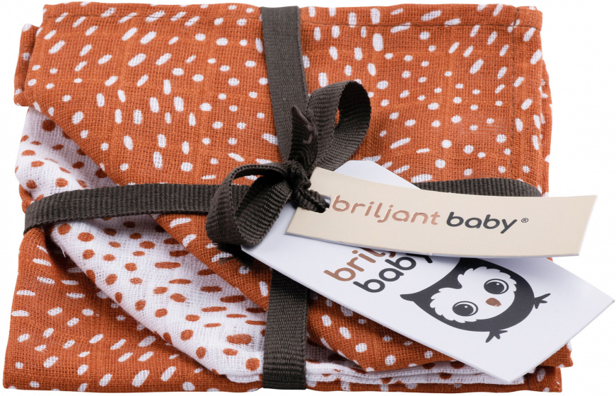 Briljant Baby detská deka Minimal Dots 30 cm terakota 3 kusy