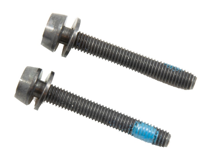 Campagnolo bouten voor schijfremklauw achter 39 mm 2 stuks