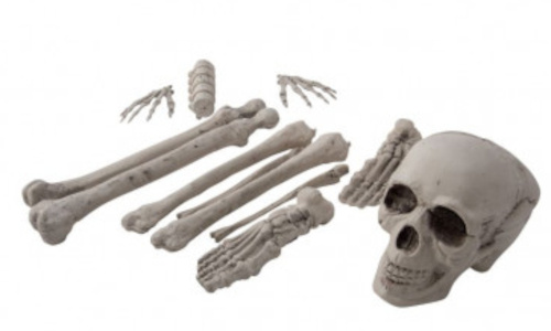 Carnival Toys párty dekorácia kosti kostra biela 12-dielna
