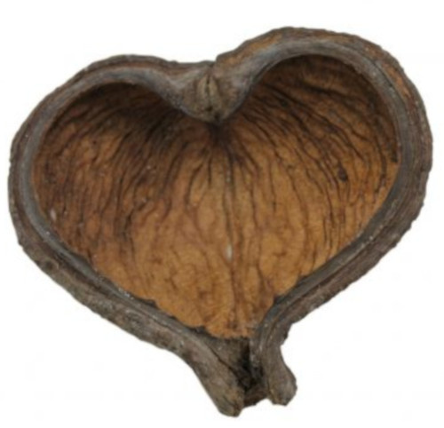 thelambu pods vegetable wood brown