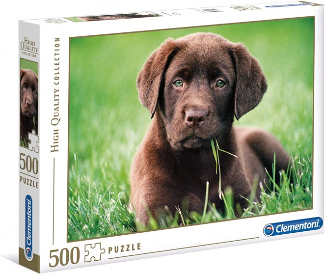 Clementoni legpuzzel high quality labrador 500 stukjes
