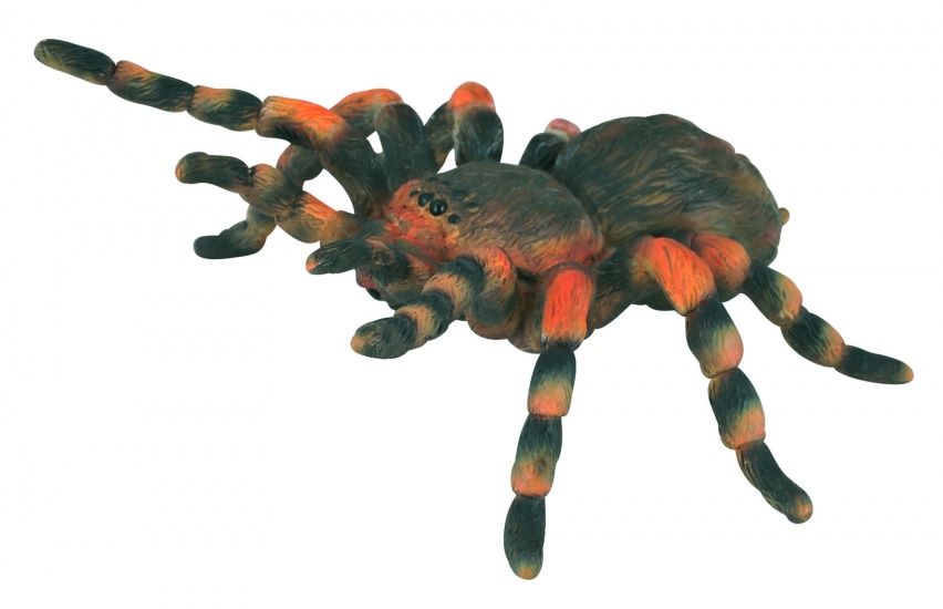 Collecta insecten mexicaanse roodknievogelspin 8 x 8,7 cm