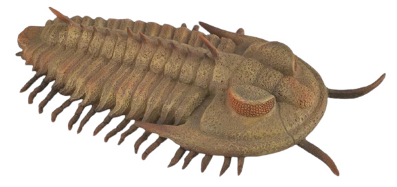 Collecta hracie zviera pravek trilobiti 9,5 cm ABS hnedá