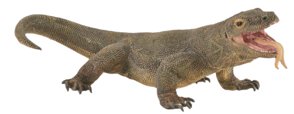 Collecta hracie zvieratko varan komodský 11,9 cm ABS zelená