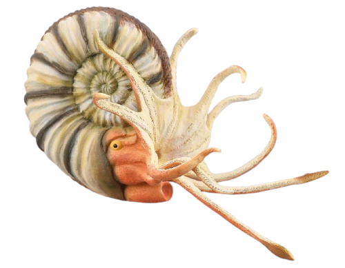 Collecta hracie zvieratko Pleuroceras 11,9 cm ABS plast biely