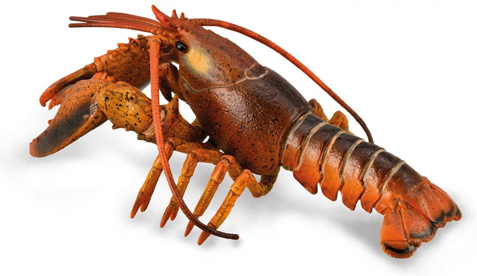 toy lobster junior 15 x 6 cm brown
