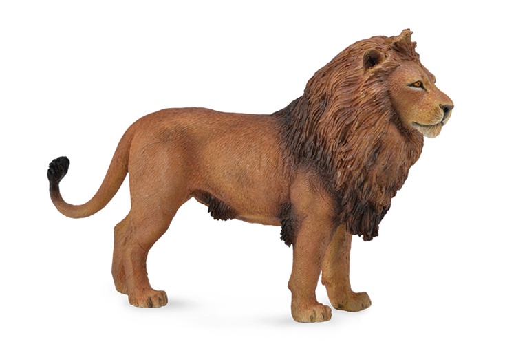 Wildlife: African Lion 14 x 9 cm
