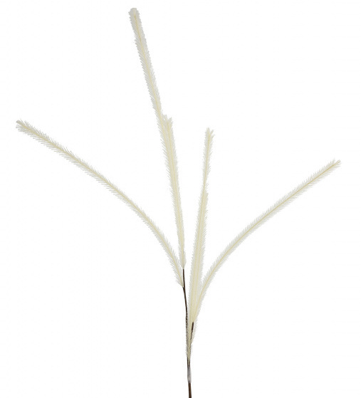 Non-Branded chochol konár 5 x 13 x 112 cm krém