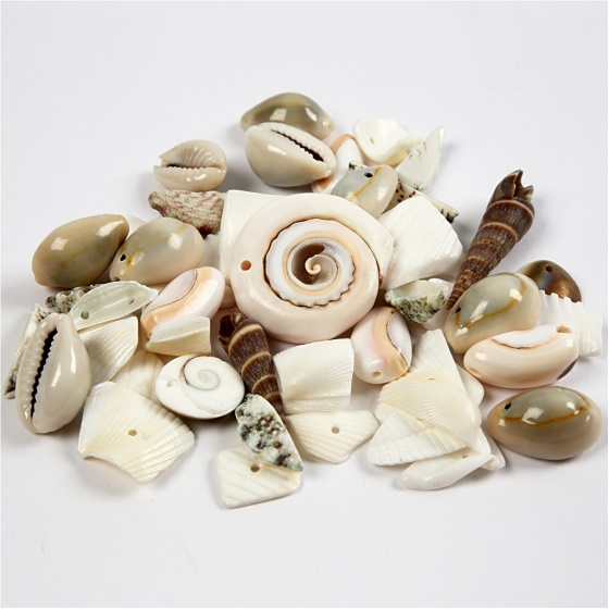 Creotime strand schelpen kralen 9 40 mm