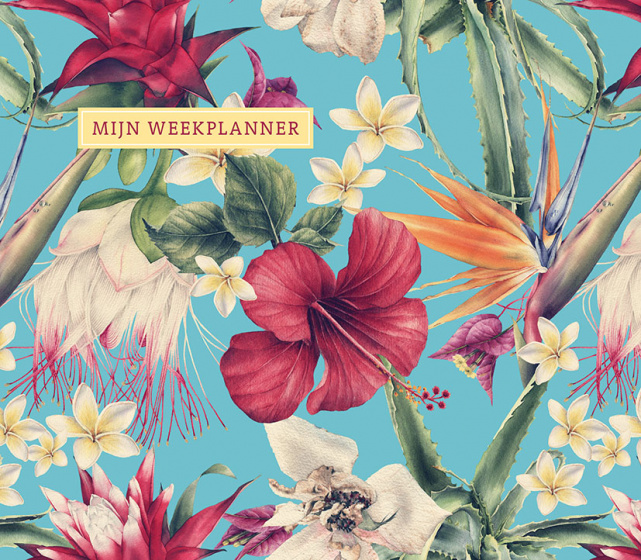 Deltas Mijn weekplanner Exotic Deltas Mijn weekplanner Exotic