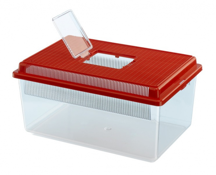 faunabox Geo Flat 35.6 x 23.4 cm 4 litres red