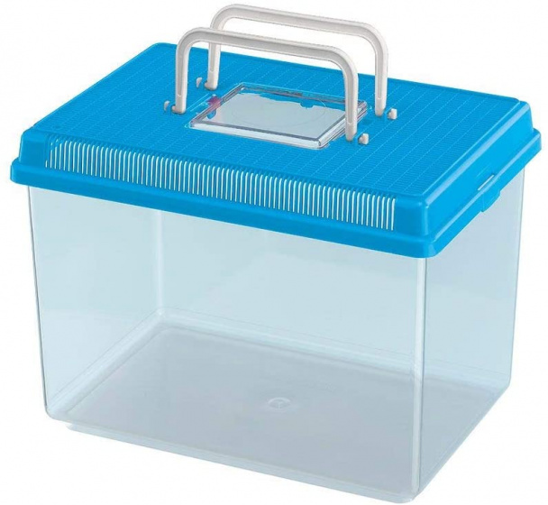 faunabox Geo Large 30 x 20 cm 6 litres blue