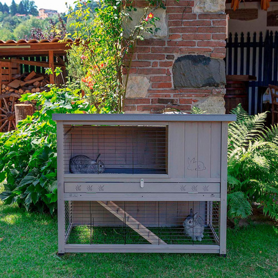 lazy bones rabbit run