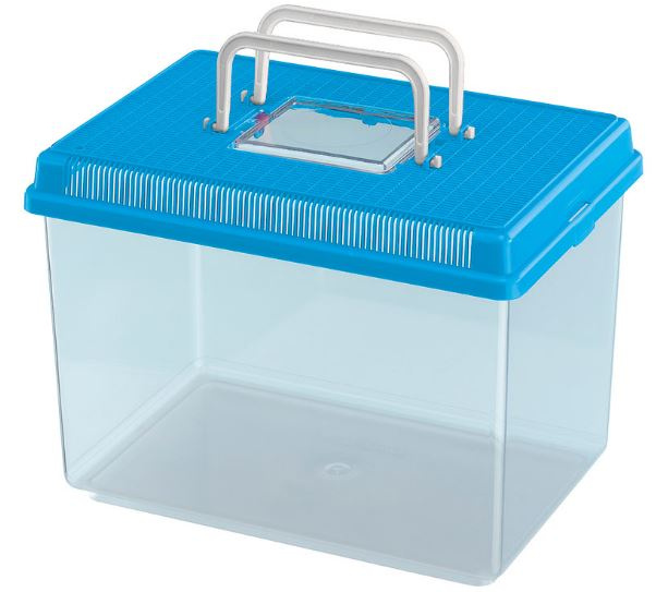 terrarium Geo 30 x 20 x 20,3 cm blue/transparent