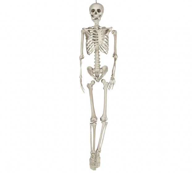 Fiestas Guirca dekorácia kostra 160 cm PVC biela